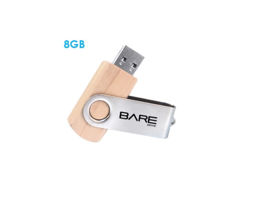 Metal Swivel Wooden USB Flash Drive - 8GB
