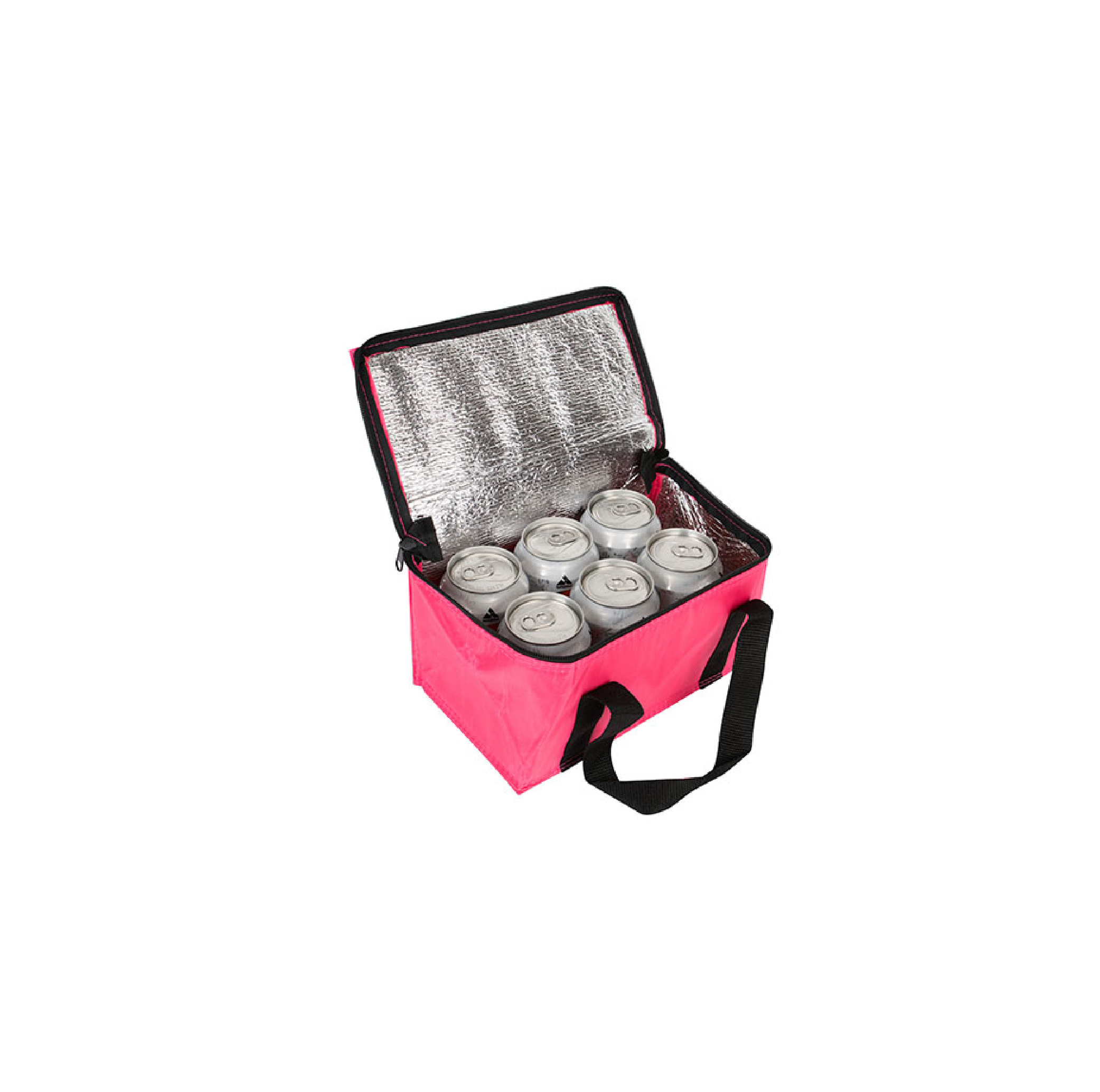 Cooler & Warmer Bag
