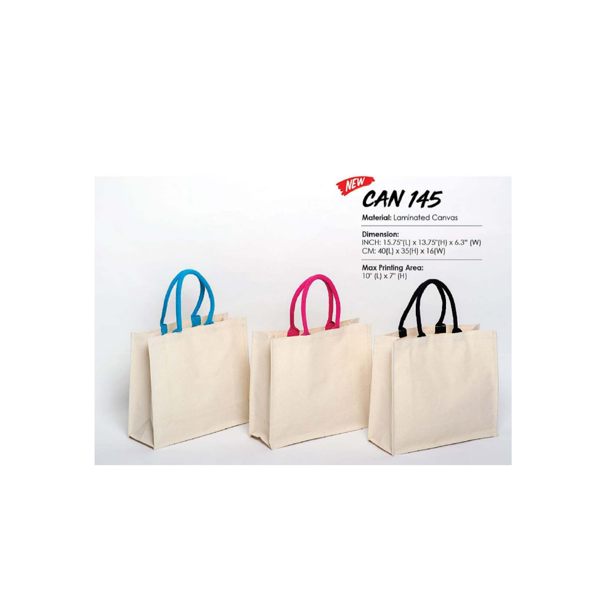 Laminated Canvas Bag