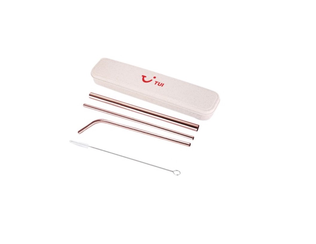 4-in-1 Rose Gold Stainless Steel Drinking Straw Gifts Set